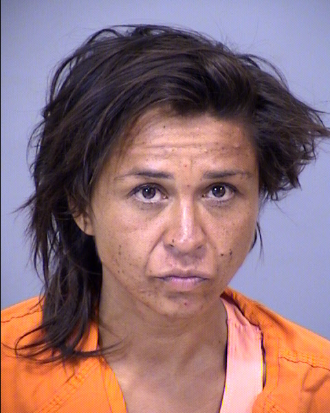 Lauren Medina Arizona Arrest Record Photo