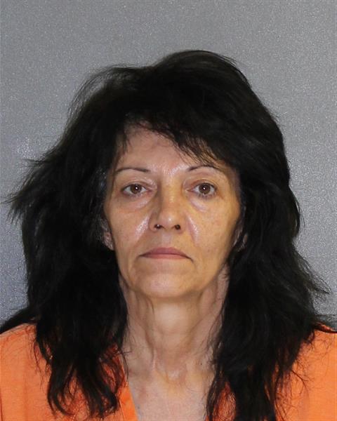 IRENE YOUNG Florida Arrest Record Photo