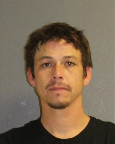 JOHN GOODMAN Florida Arrest Record Photo