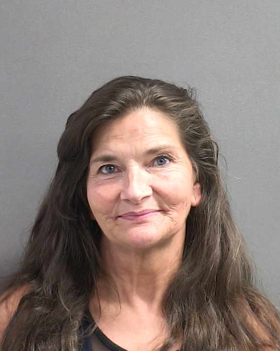 MICHELLE PURSLEY Florida Arrest Record Photo