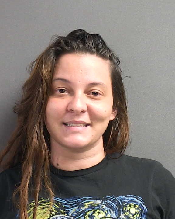 ASHLEY SCHMIDT Florida Arrest Record Photo