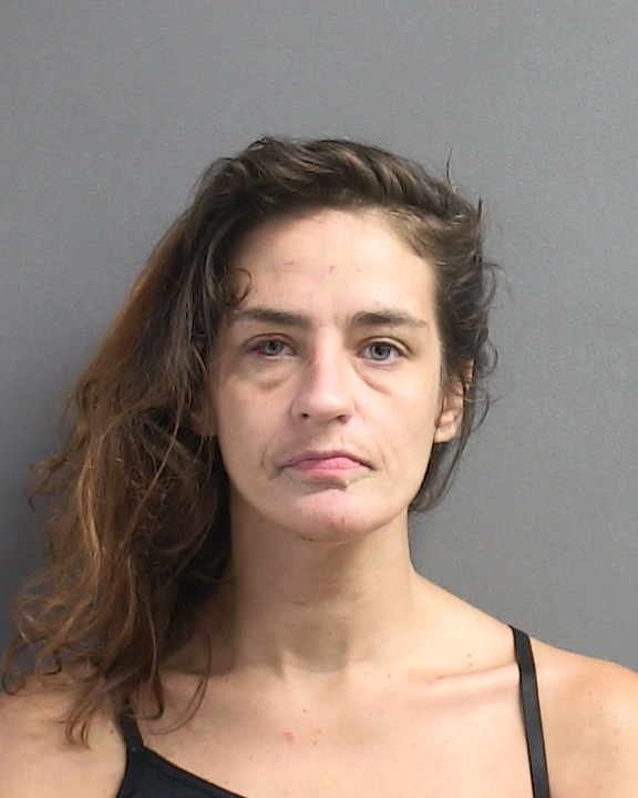 BRANDY BEENE Florida Arrest Record Photo