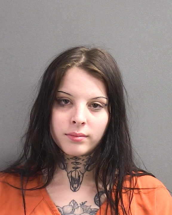 DAKOTA BOUCHER Florida Arrest Record Photo