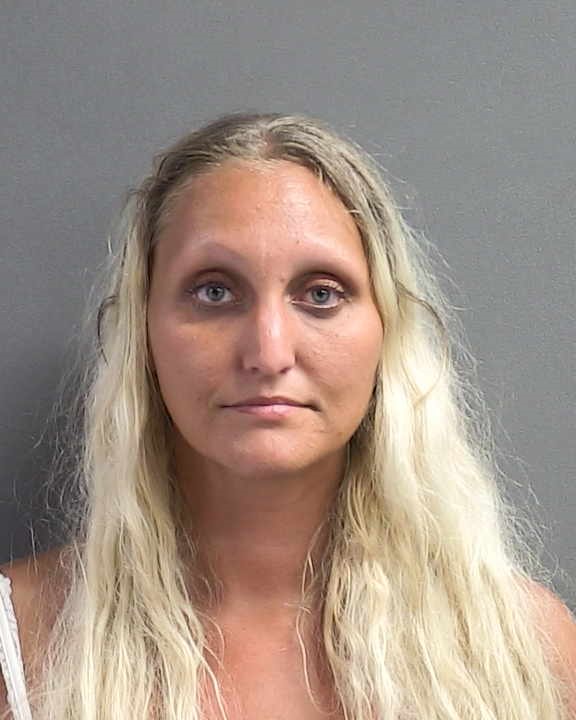 TARA ORES Florida Arrest Record Photo