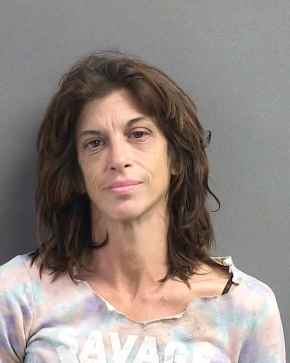 CAROL LOWRY Florida Arrest Record Photo