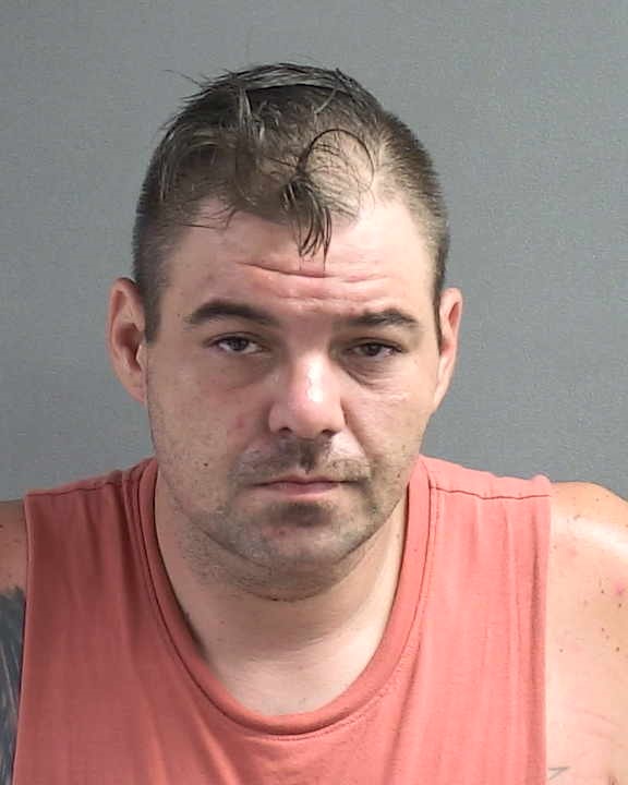 BRENT LOVALLO Florida Arrest Record Photo