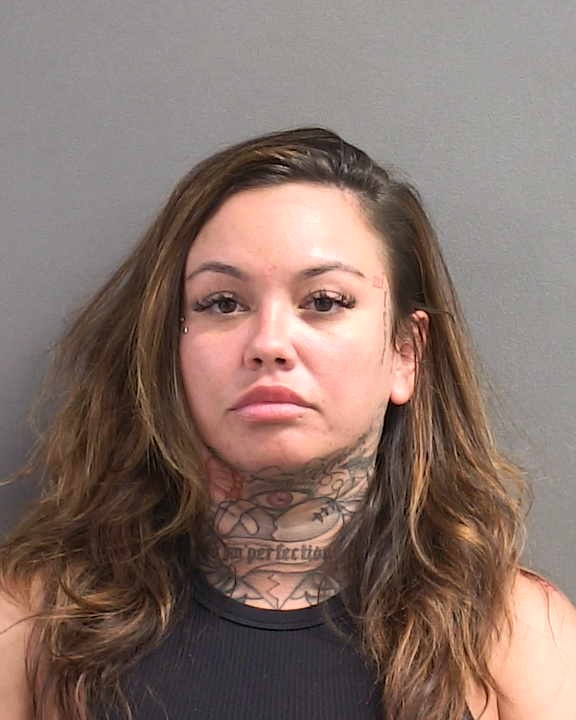 Morgan White Biancardi Florida Arrest Record Photo