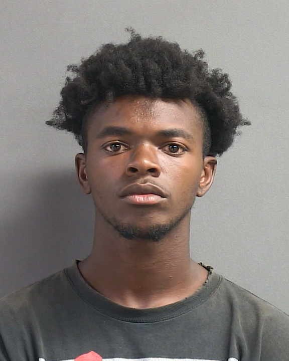 Tameron Lowe Florida Arrest Record Photo