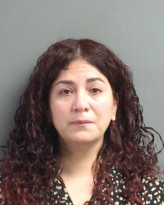 ANA RODRIGEZ NAVARRO Florida Arrest Record Photo