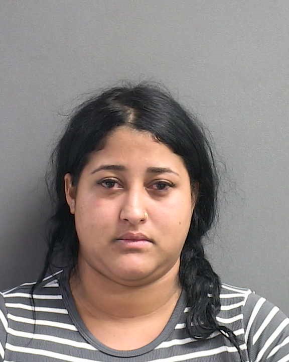 Sthephany Hernandez Pereira Florida Arrest Record Photo