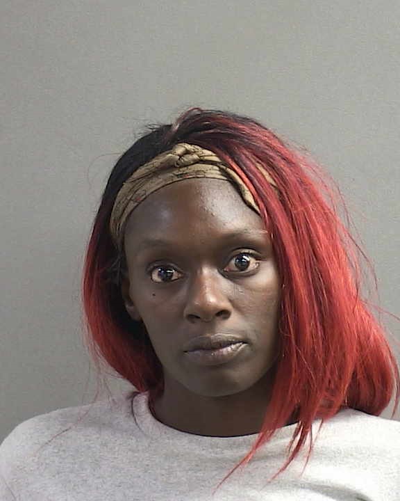 ANIYA RIVERS Florida Arrest Record Photo