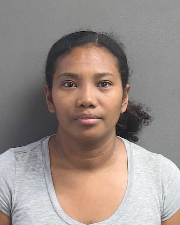 Jenny Sanchez-artiaga Florida Arrest Record Photo