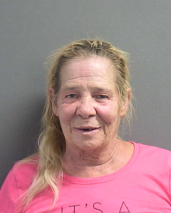 Celine Agens Florida Arrest Record Photo